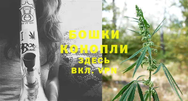 Конопля SATIVA & INDICA  Ивдель 